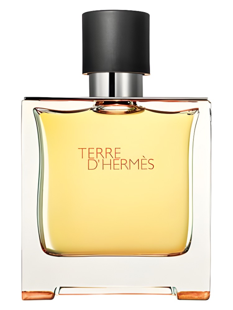 Terre d'Hermes Parfum Hermès for men